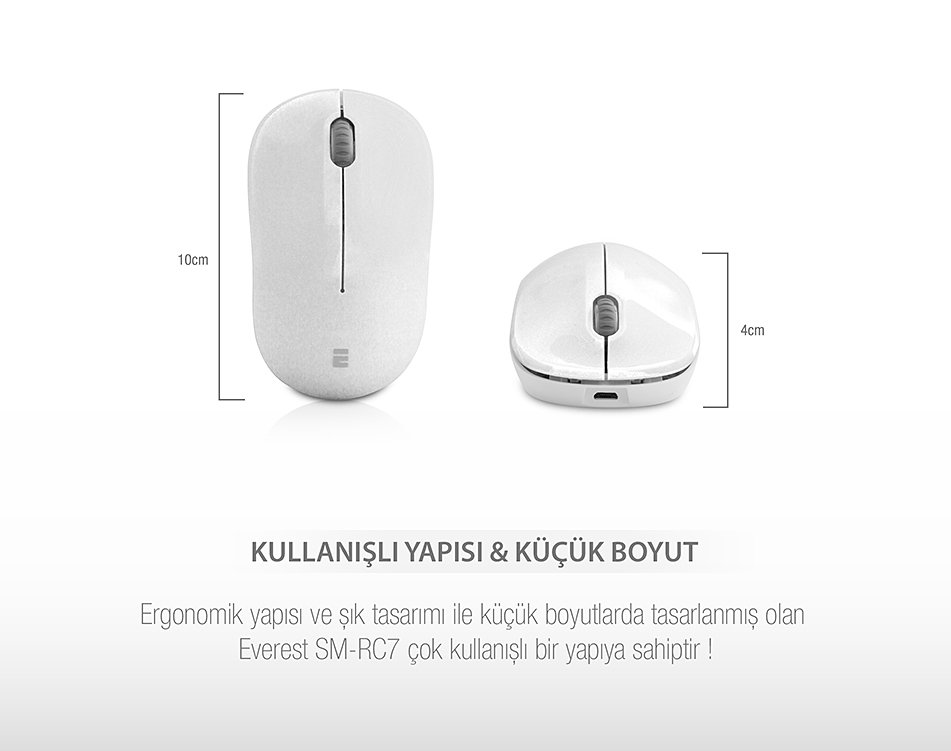 Everest Kablosuz Mouse