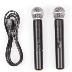 LNT- P -120 EL-EL Taşınabilir Hoparlör + Anfi